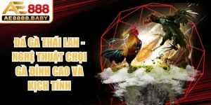 Đá Gà Thái Lan