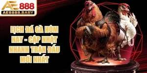Lịch Đá Gà Hôm Nay