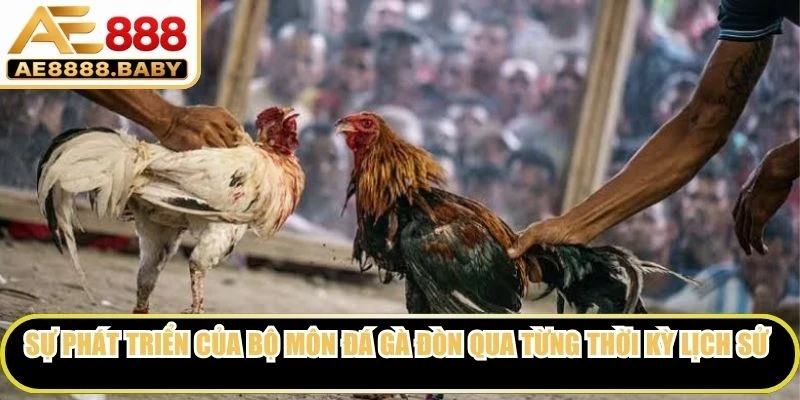 Sự phát triển của bộ môn đá gà đòn qua từng thời kỳ lịch sử
