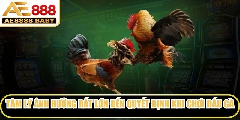 Tâm lý ảnh hưởng rất lớn đến quyết định khi chơi đấu gà trực tuyến